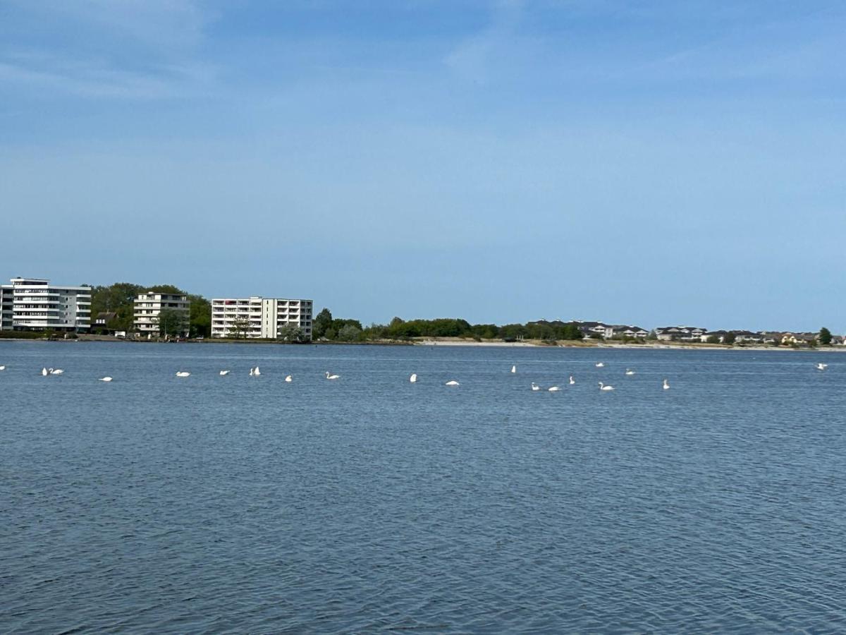 Wasserblick, In 3 Min Am Strand Heiligenhafen Eksteriør billede