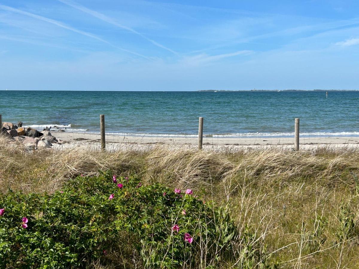 Wasserblick, In 3 Min Am Strand Heiligenhafen Eksteriør billede